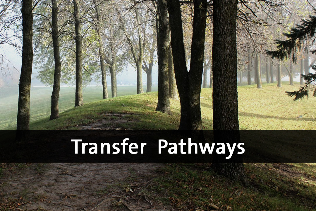 Transfer Pathways Heading