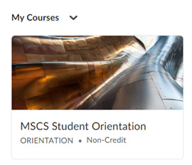 Screen capture: My Courses, MSCS Student Orientation, Non-Credit